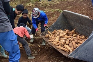 DSC_5416.jpg