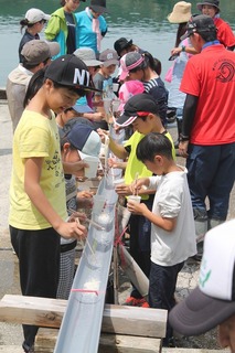 磯研修 (232).jpg