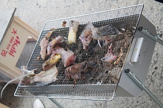 磯研修 (311).jpg