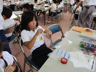 IMG_0272.jpg