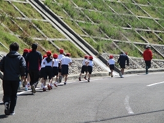 IMG_0871.jpg