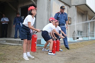 IMG_2679.jpg