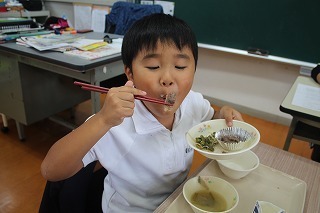 IMG_3213.jpg