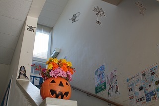 IMG_3765.jpg