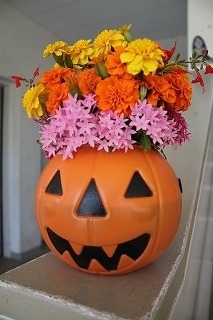 IMG_3769.jpg