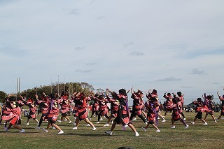 IMG_4578.jpg