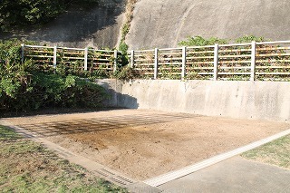 IMG_4772.jpg