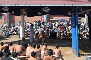 IMG_4784.jpg