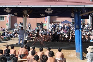 IMG_4793.jpg