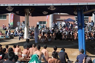 IMG_4803.jpg