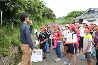 IMG_8453.jpg